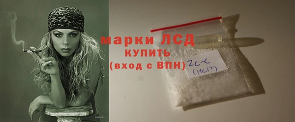 прущие грибы Балабаново