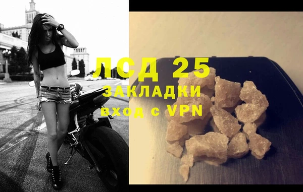 прущие грибы Балабаново