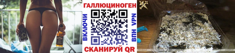 KRAKEN   Петровск-Забайкальский  Псилоцибиновые грибы Psilocybine cubensis 